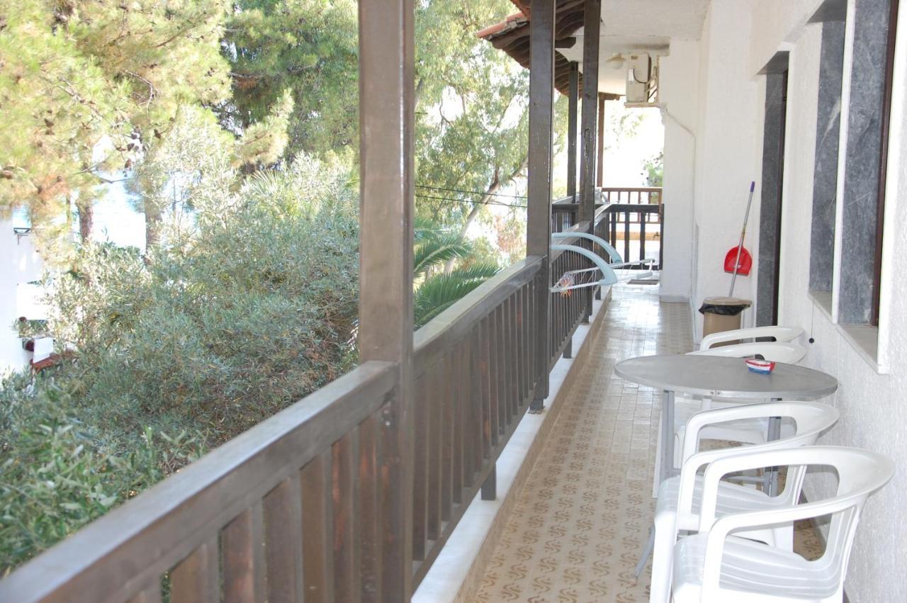 Miranda * Nikiti (Sithonia)