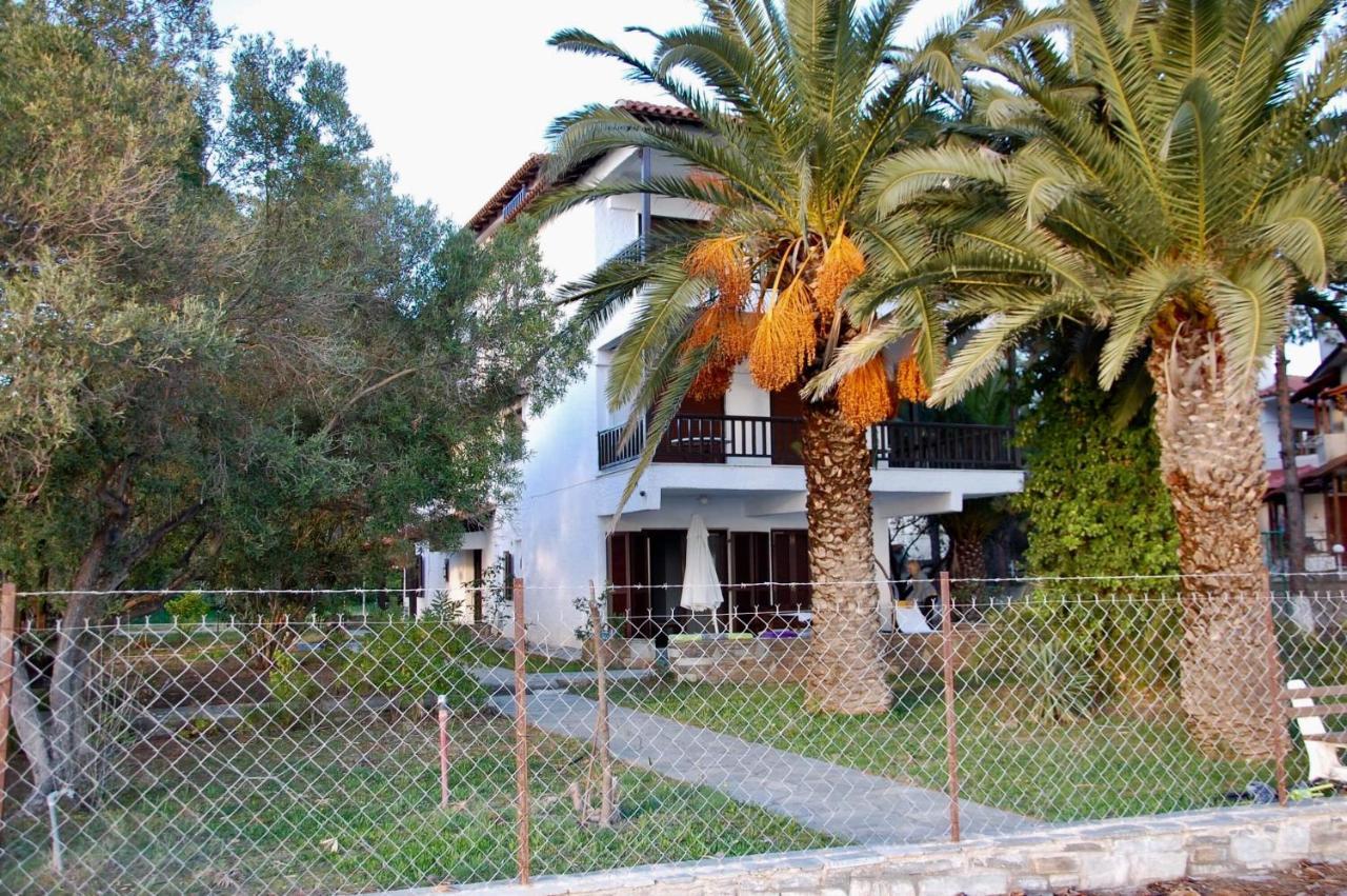 Miranda ניקיטי